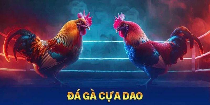 đá gà cựa dao siêu khét tại king88